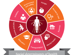 Survey: 50% of Providers Are Not Using Social Determinants of Health